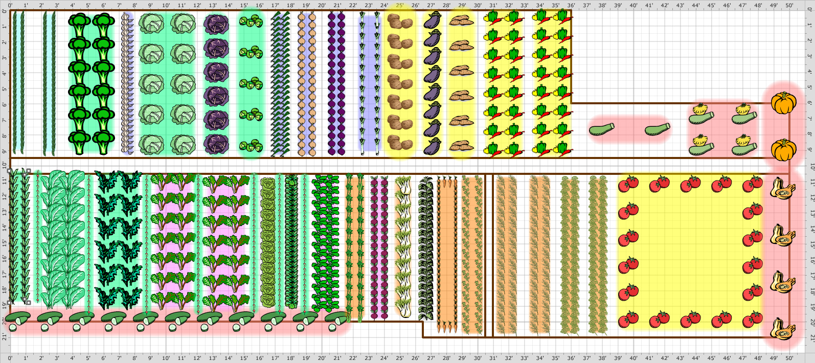 Схема расположения овощей на огороде кто с кем