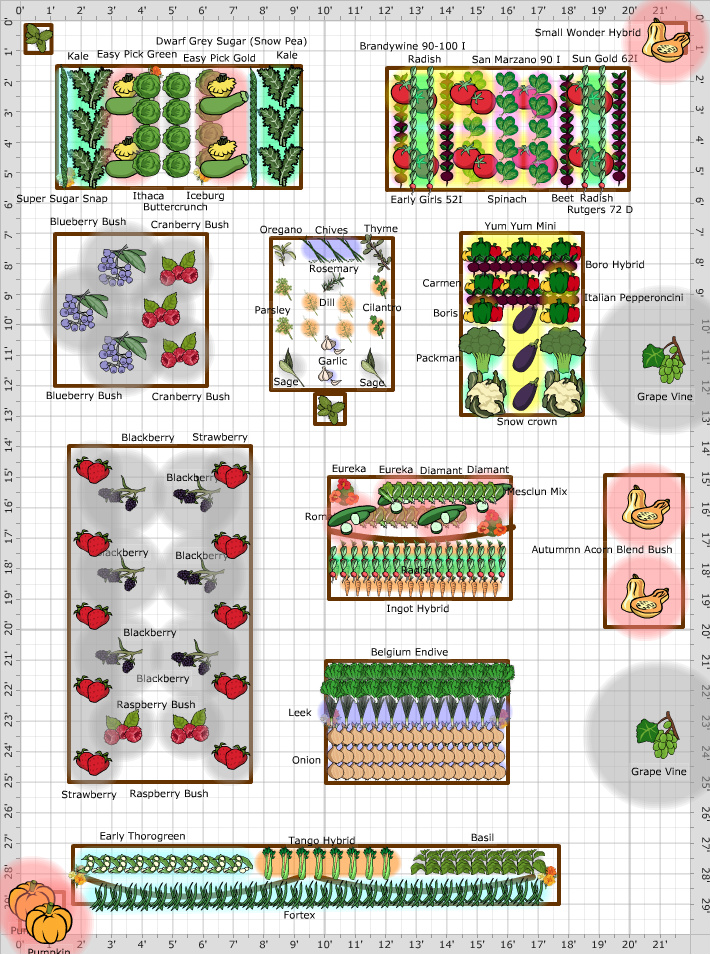 Garden Plan - 2014: Home Veggies 14