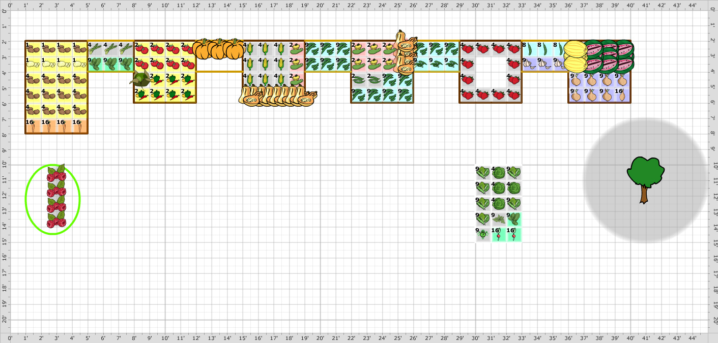 Garden Plan - 2013: 2013 Garden