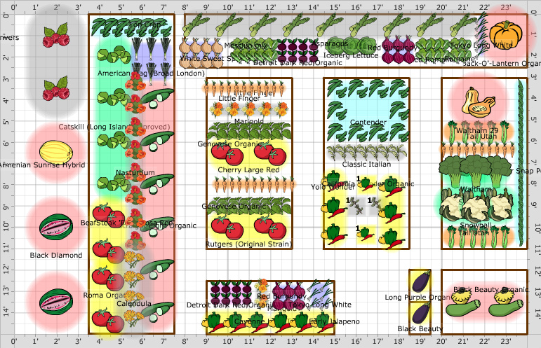 Схема огорода овощей. Смешанные грядки схемы посадки. Смешанные посадки в огороде схема. Схемы посадок овощей на грядках. Уплотненные посадки овощей схемы Кизима.