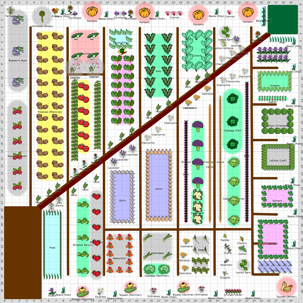 Garden Plan - 2013: garden