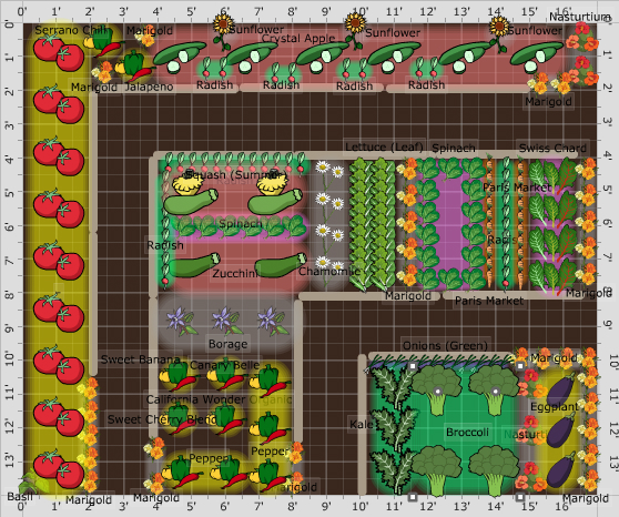 Garden Plan - Lower Garden