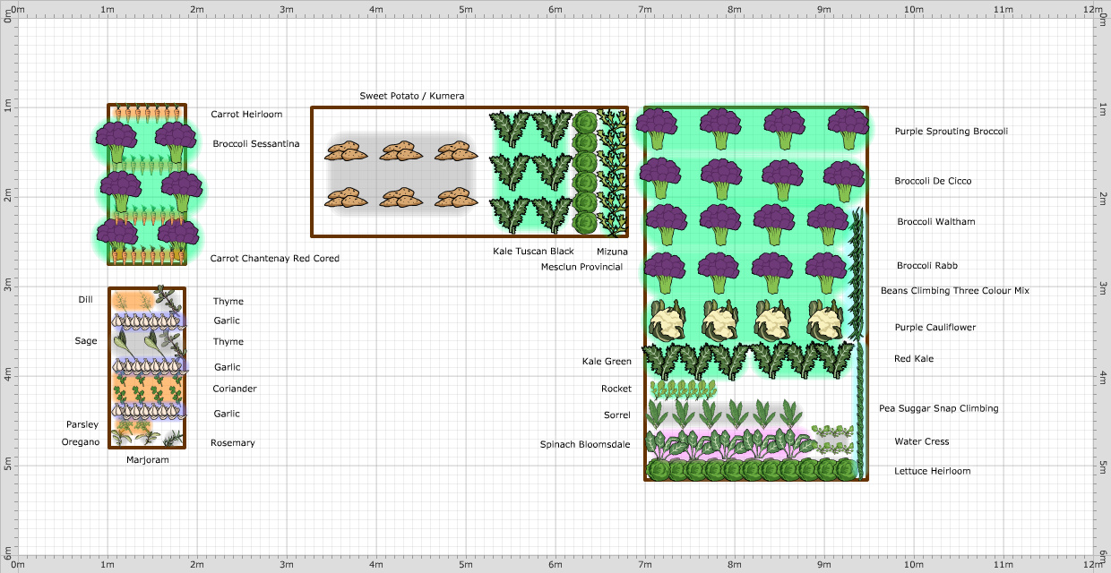 Garden Plan 2012 Paul's Garden