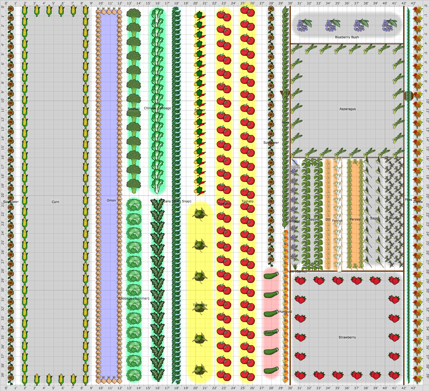 Garden Plan - 2013: vegetable garden