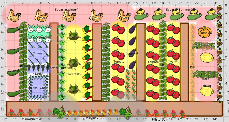 Схема огорода овощей. Расположение овощей на огороде схемы. Расположение овощей на грядках. План посадки овощей. Планировка посадки овощей на огороде.