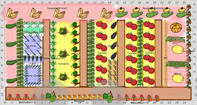 Схема расположения овощей на огороде кто с кем
