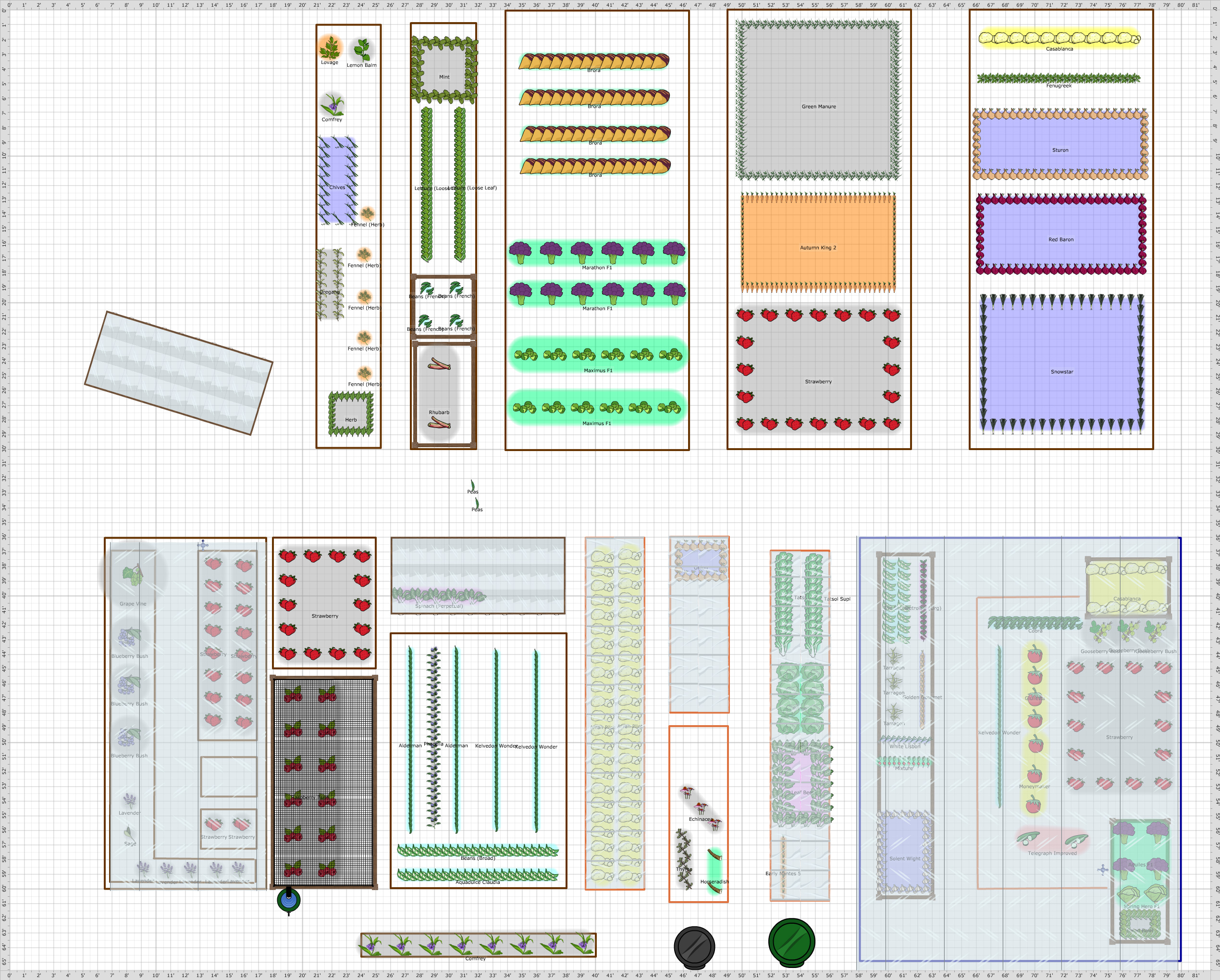 Garden Plan - 2013: Allotment