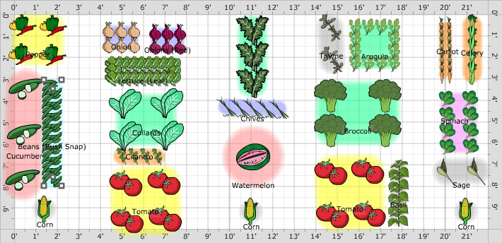 Garden Plan - 2013: vegetable