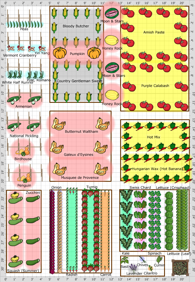 Garden Plan - 2013: Botany Project #2