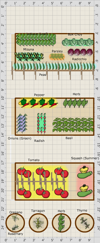 Garden Plan - 2013: Vegetable Garden