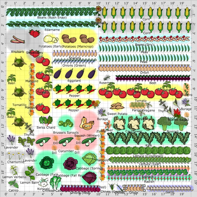 Garden Plan - 2013: potential full size plot