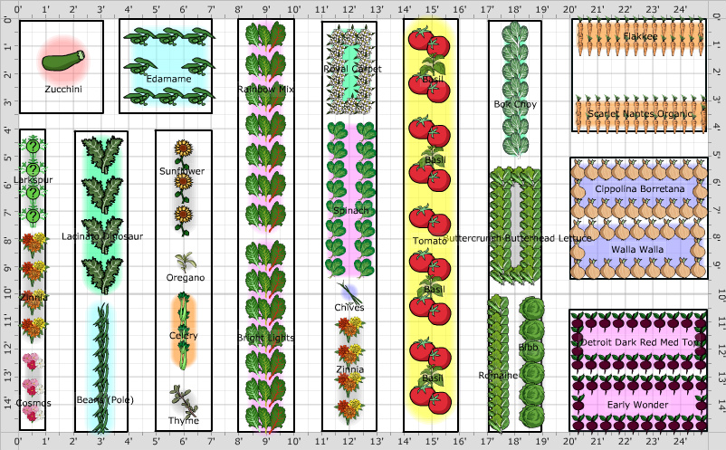 Garden Plan - Backyard Garden