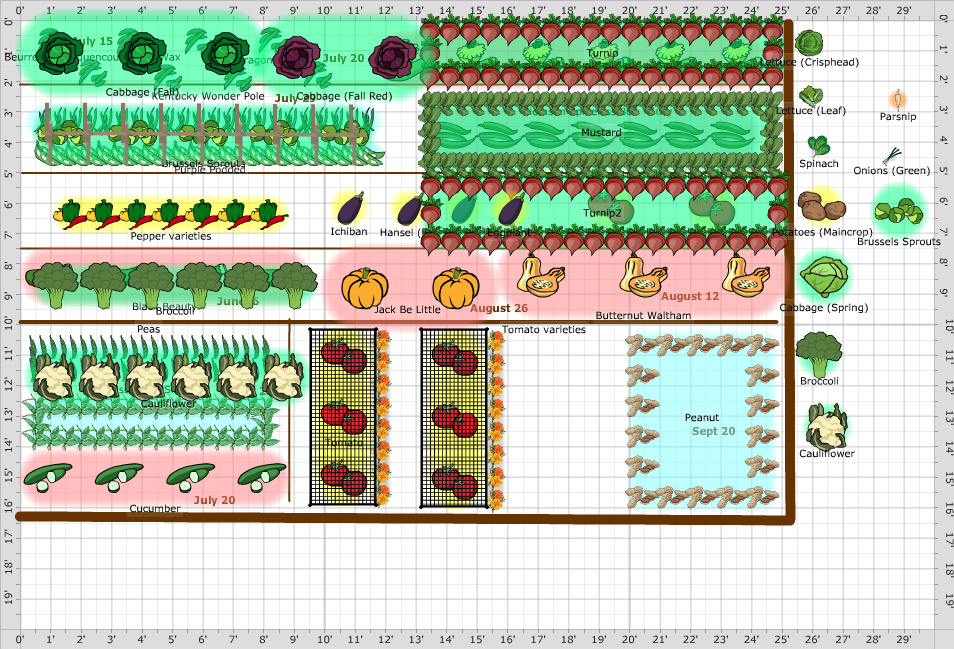 Garden Plan - 2013: Vegetable Garden