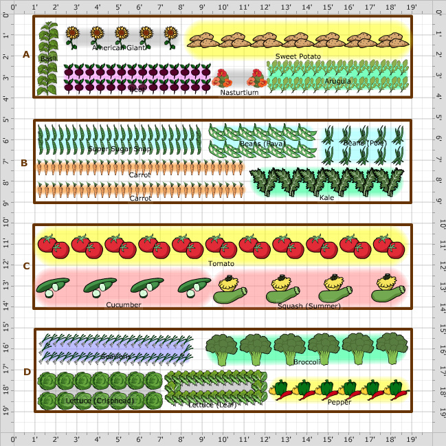 Garden Plan - 2014: JB Year 1