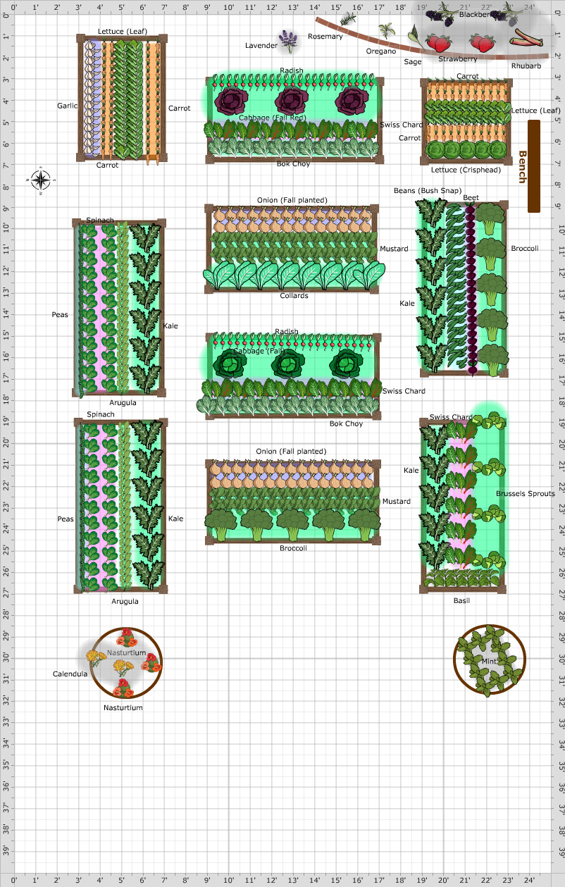 Garden Plan - 2013: Julio