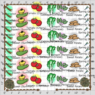 Garden Plan - 2013: Vegetable Garden