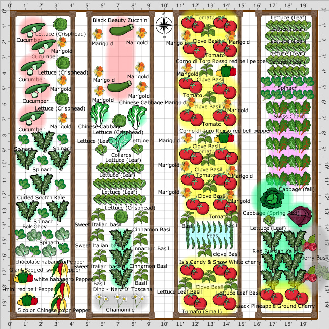 beginner 20x20 vegetable garden layout