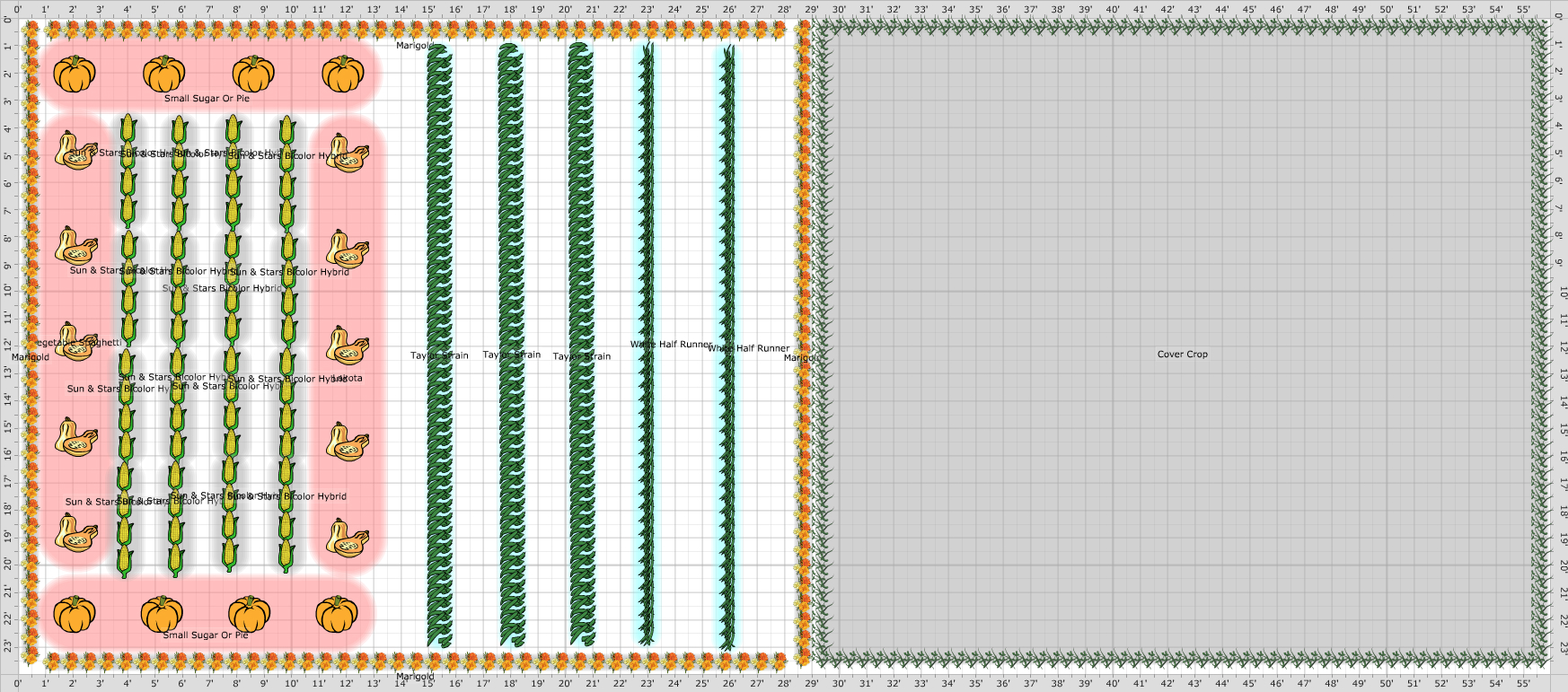 Garden Plan - Three Sisters Garden