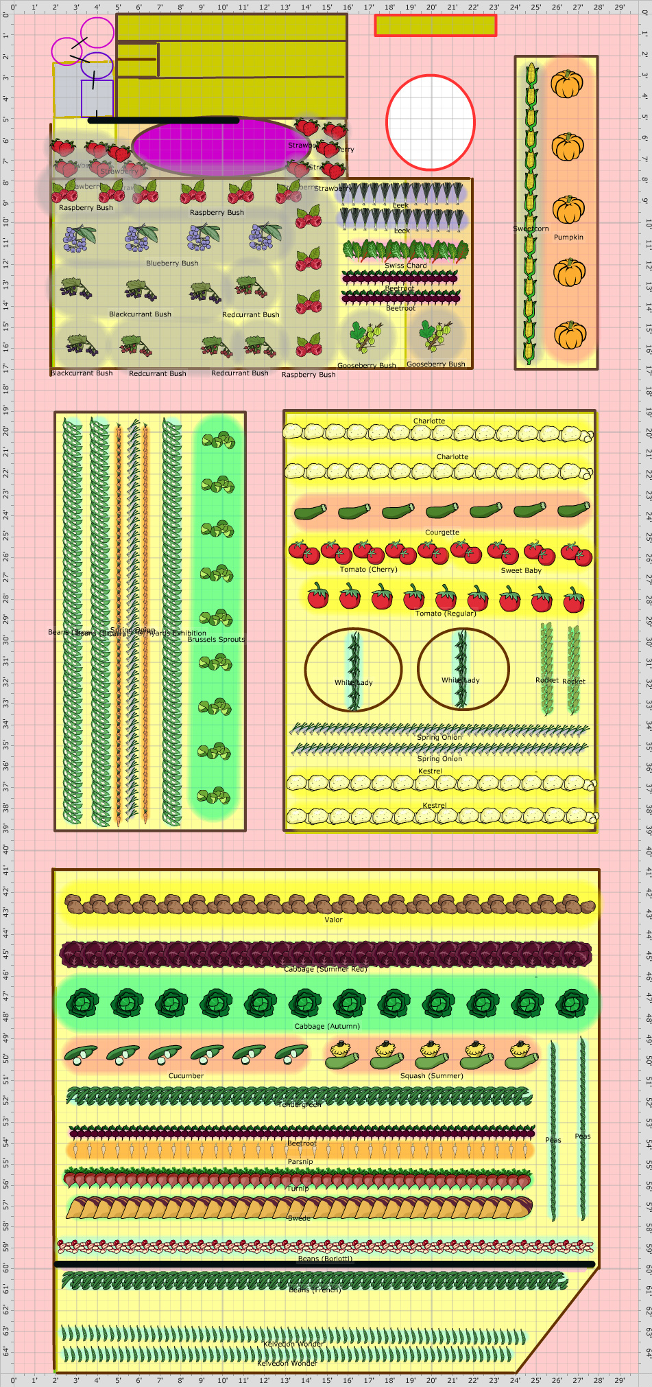 Garden Plan - 2014: TONYS PLOT 13