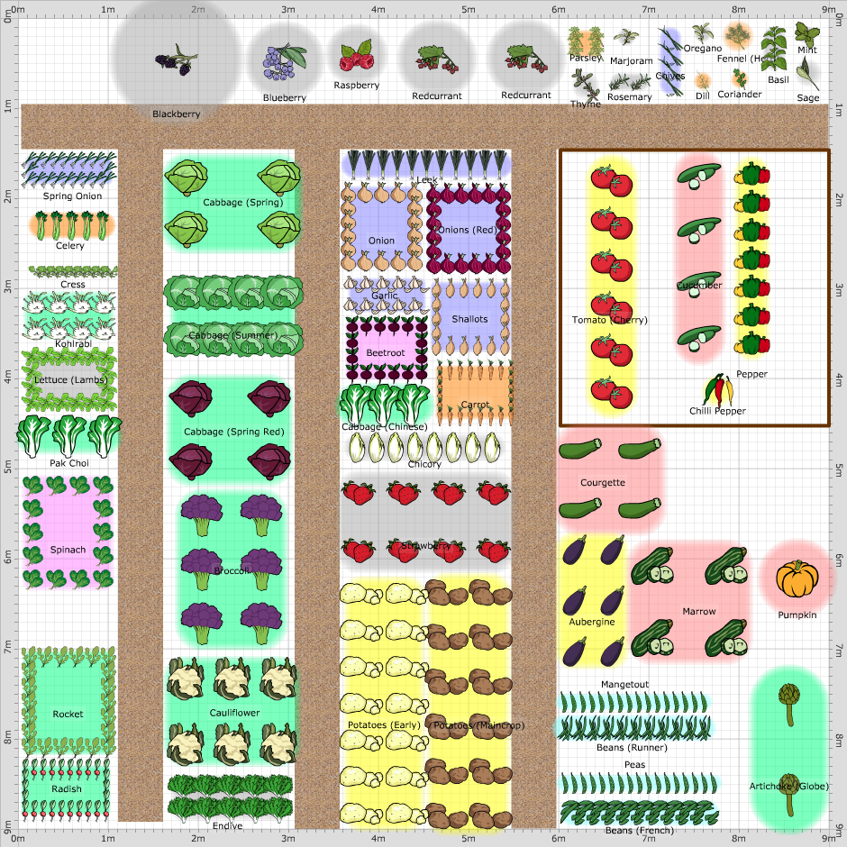 Garden Plan - 2014: sjekkie