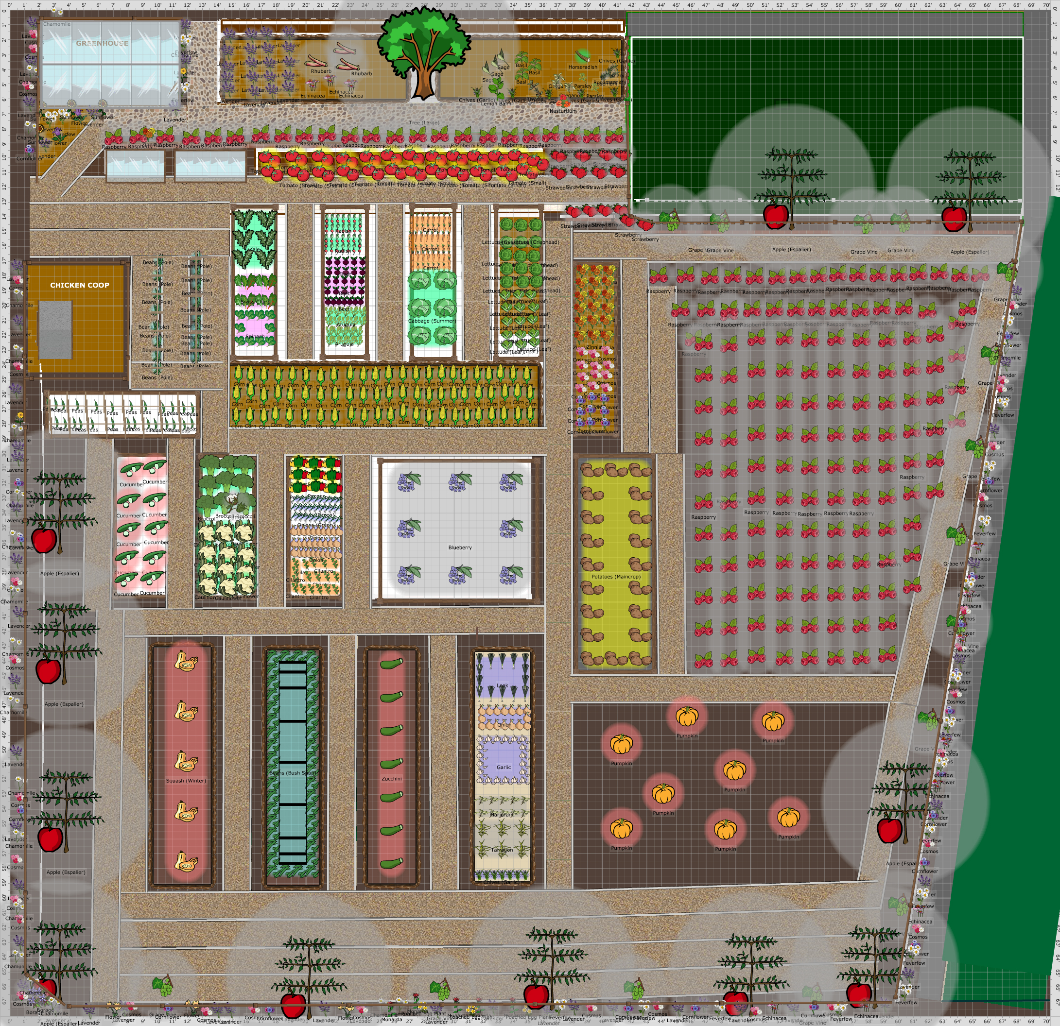 Garden Plan - Garden