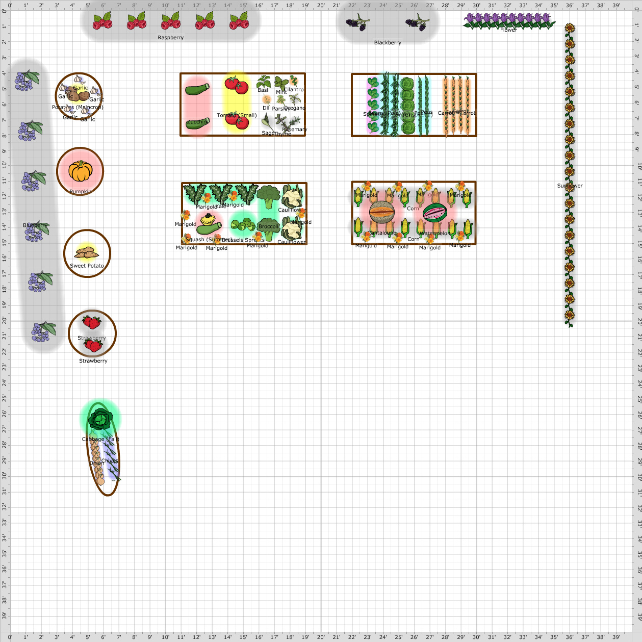 Garden Plan 2014 Noreen S Garden