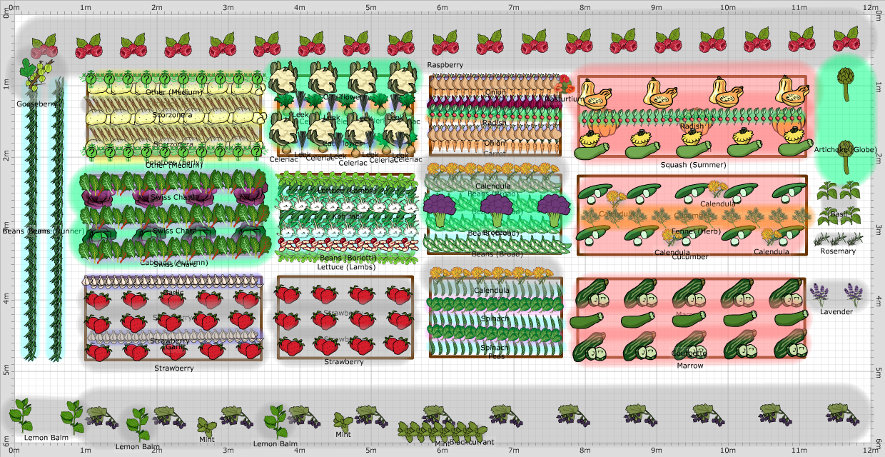 Garden Plan - 2014: warzywnik