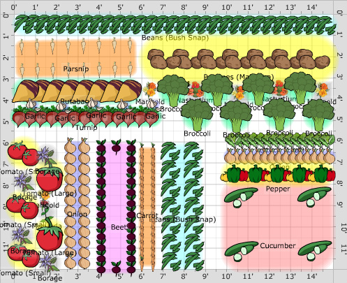 Garden Plan - 2014: Veggie Plot