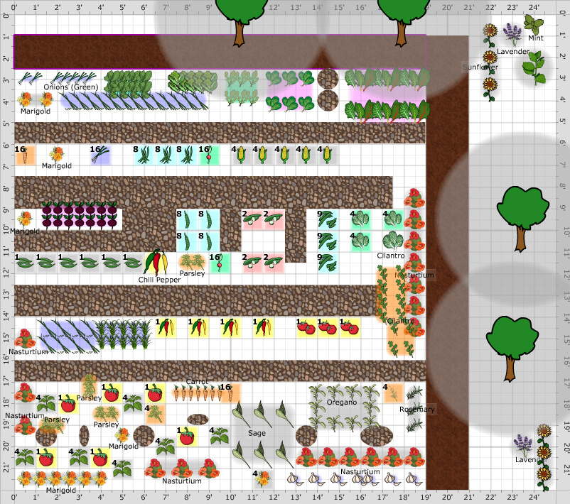 Garden Plan - 2014: my big garden
