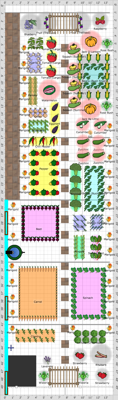 Garden Plan - 2014: Main Garden