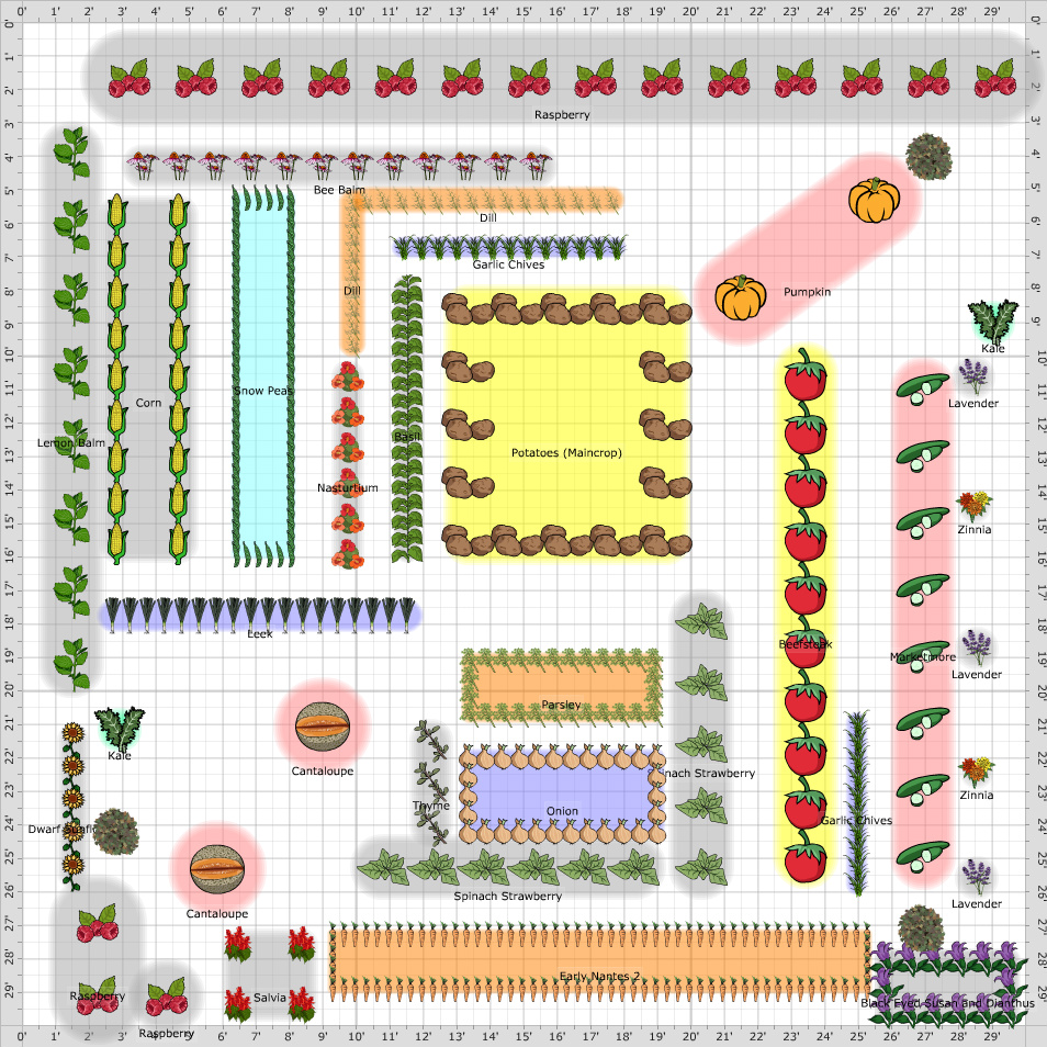 Garden Plan - Plot 66