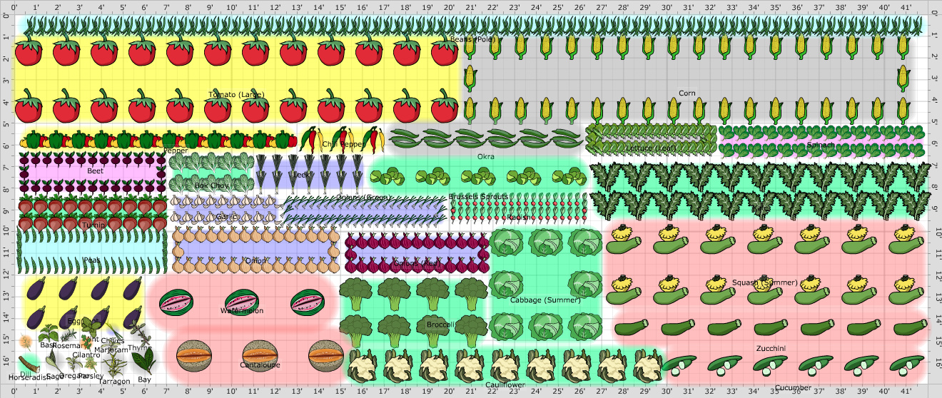 Garden Plan - 2014: new