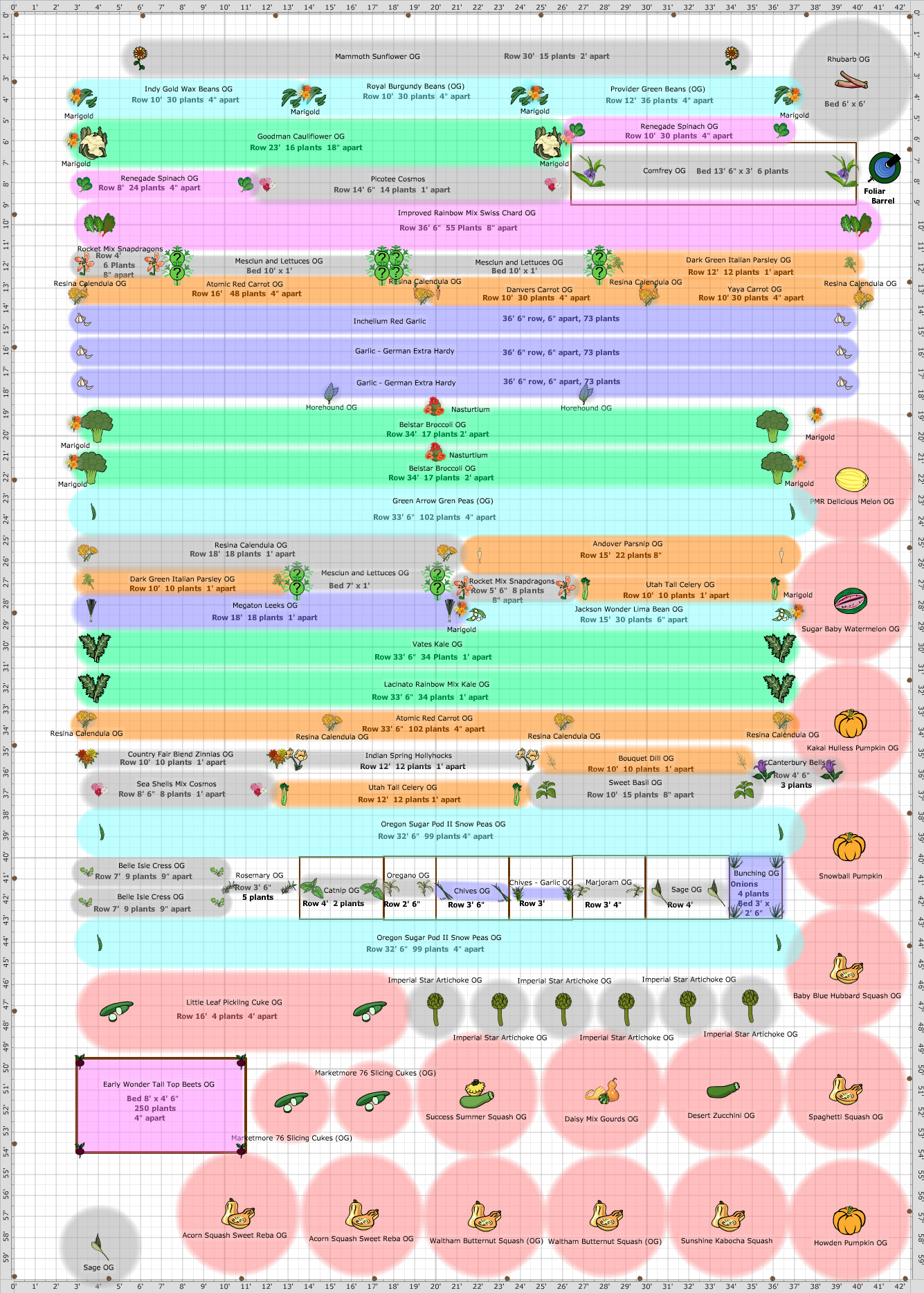 Garden Plan - 2015: Big Garden