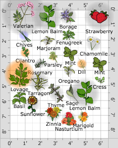 Garden Plan - Herb Garden
