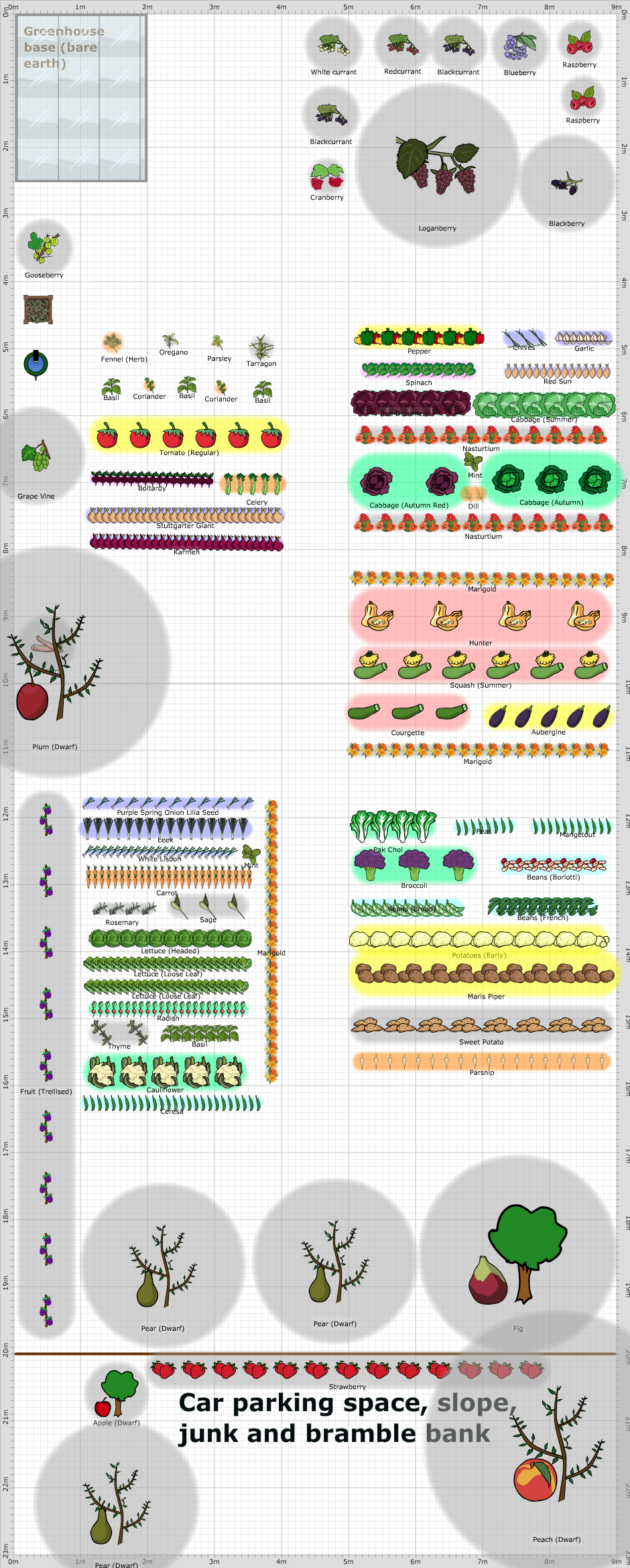 Garden Plan - 2015: Richard and Al's plot