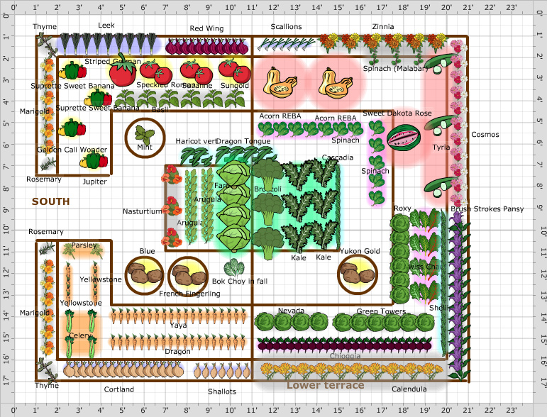 Garden Plan - 2015: Hoffman