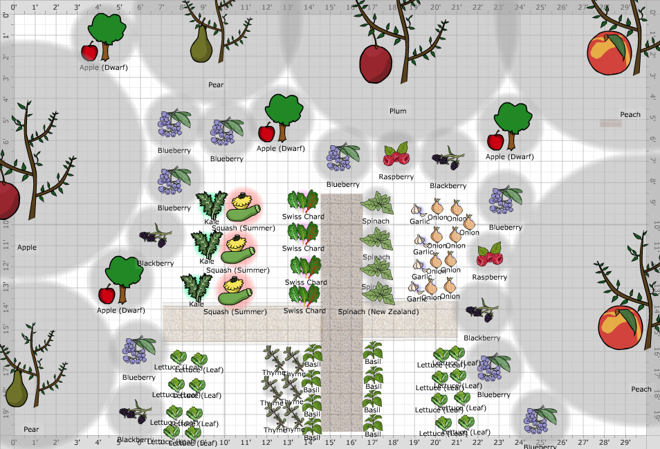 Garden Plan - Please Pick Food Forest
