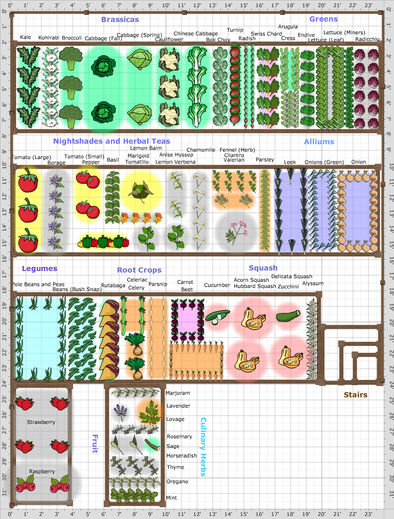 Garden Plan - 2013: LK backyard