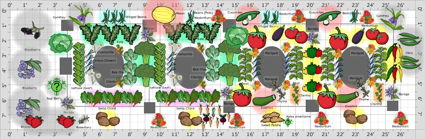 Garden Plan - 2015: da garden