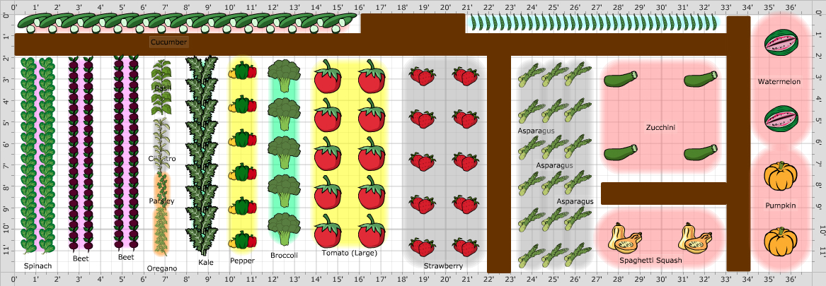 Garden Plan - 2015: Garden