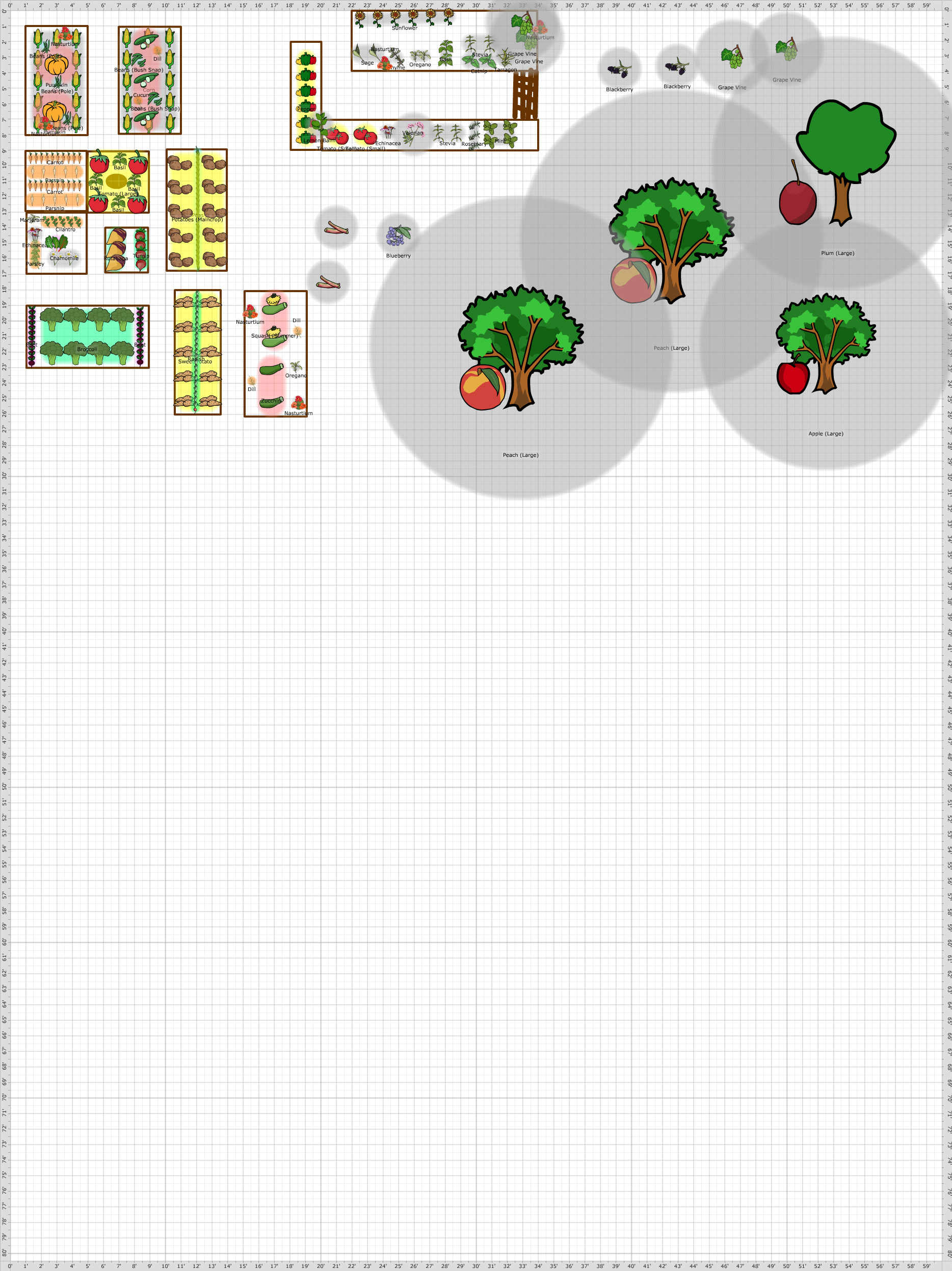 Garden Plan - 2015: Plan 1