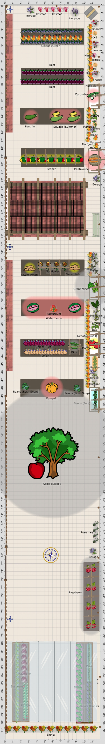Garden Plan - 2015: The Garden
