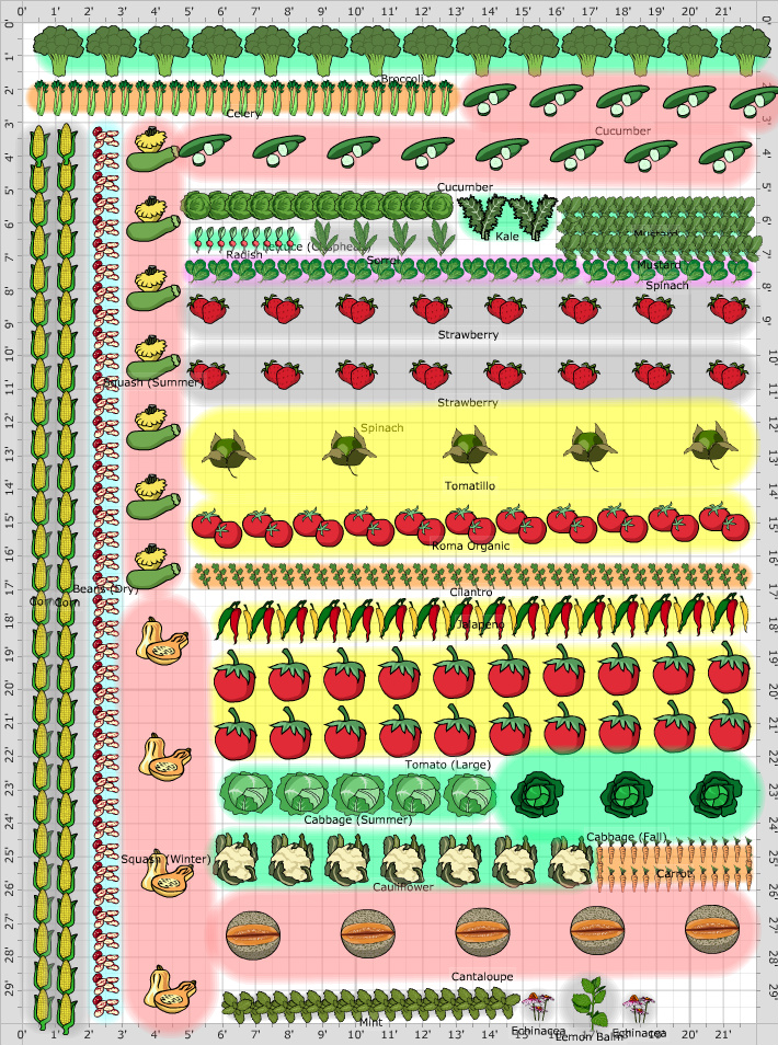 Garden Plan - 2015: GArden