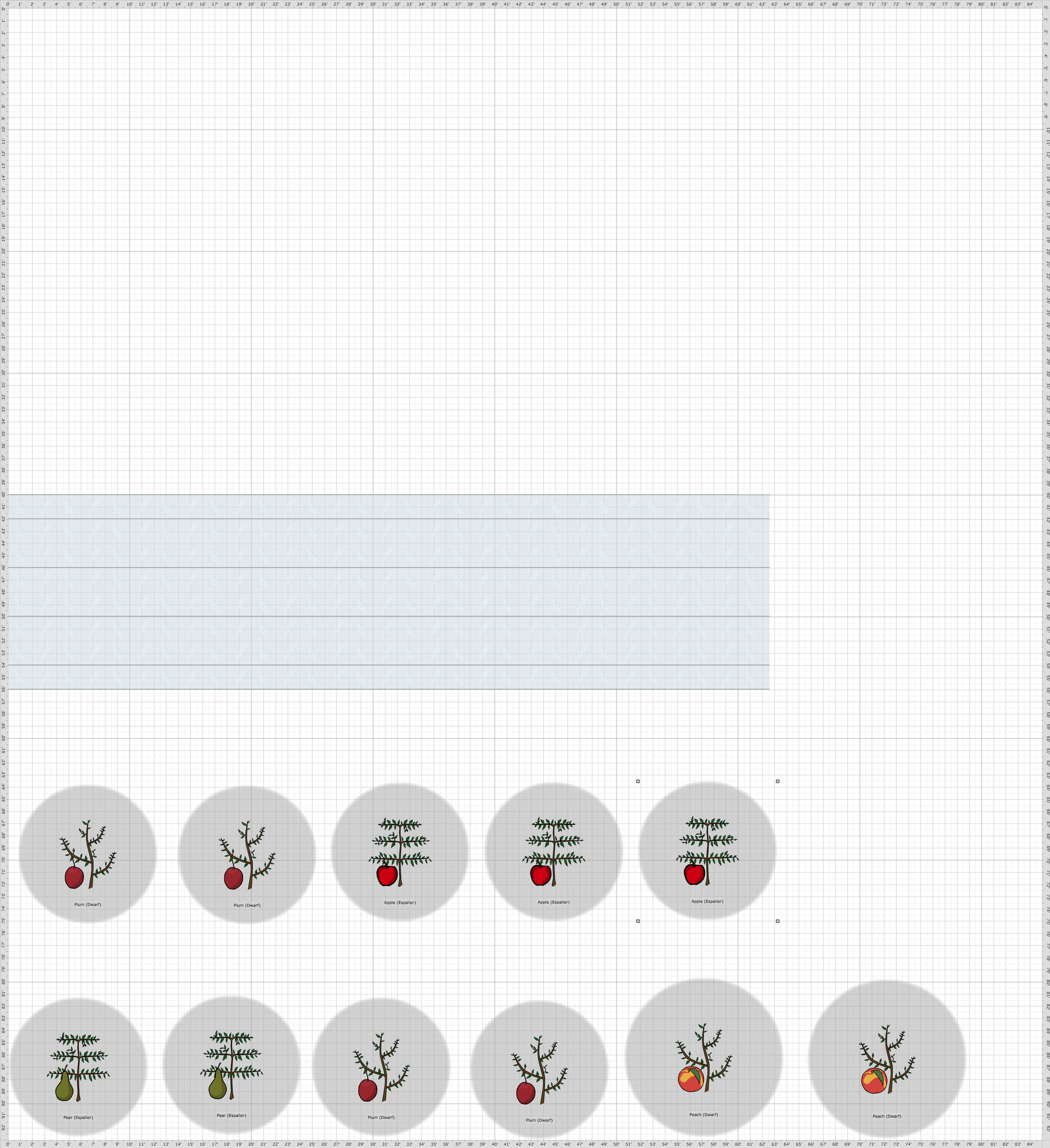 Garden Plan 2015 Fruit Trees