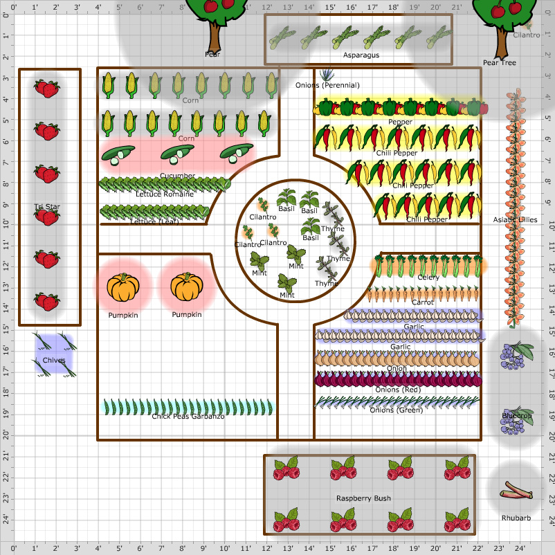 Garden Plan - The Potted Parrot