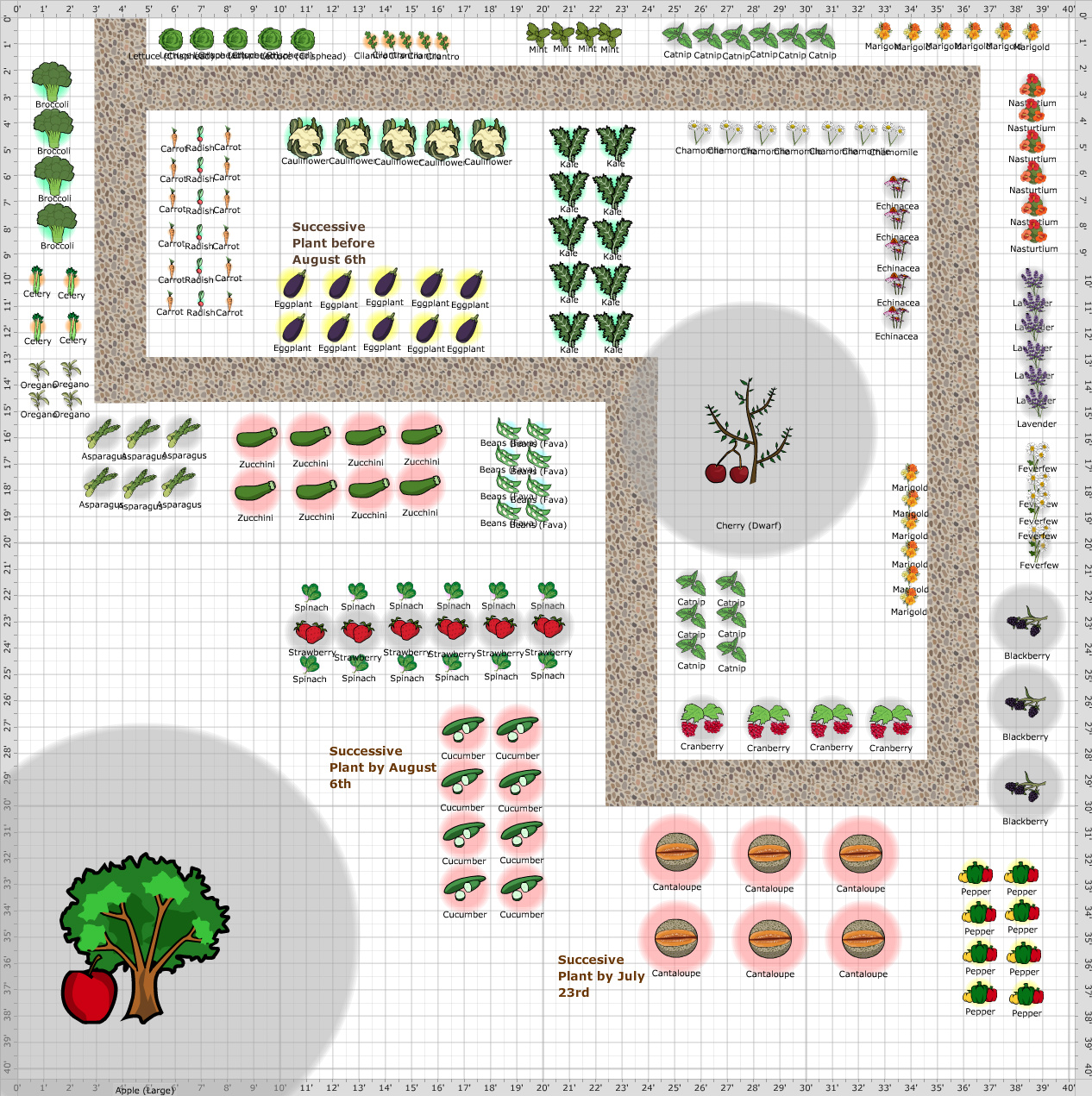 Garden Plan - 2015: Garden