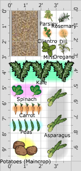 Garden Plan - 2015: Skye patch