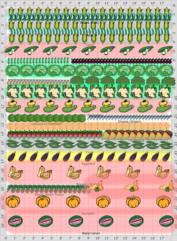 Garden Plan - 2015: Revised Vegetable Garden