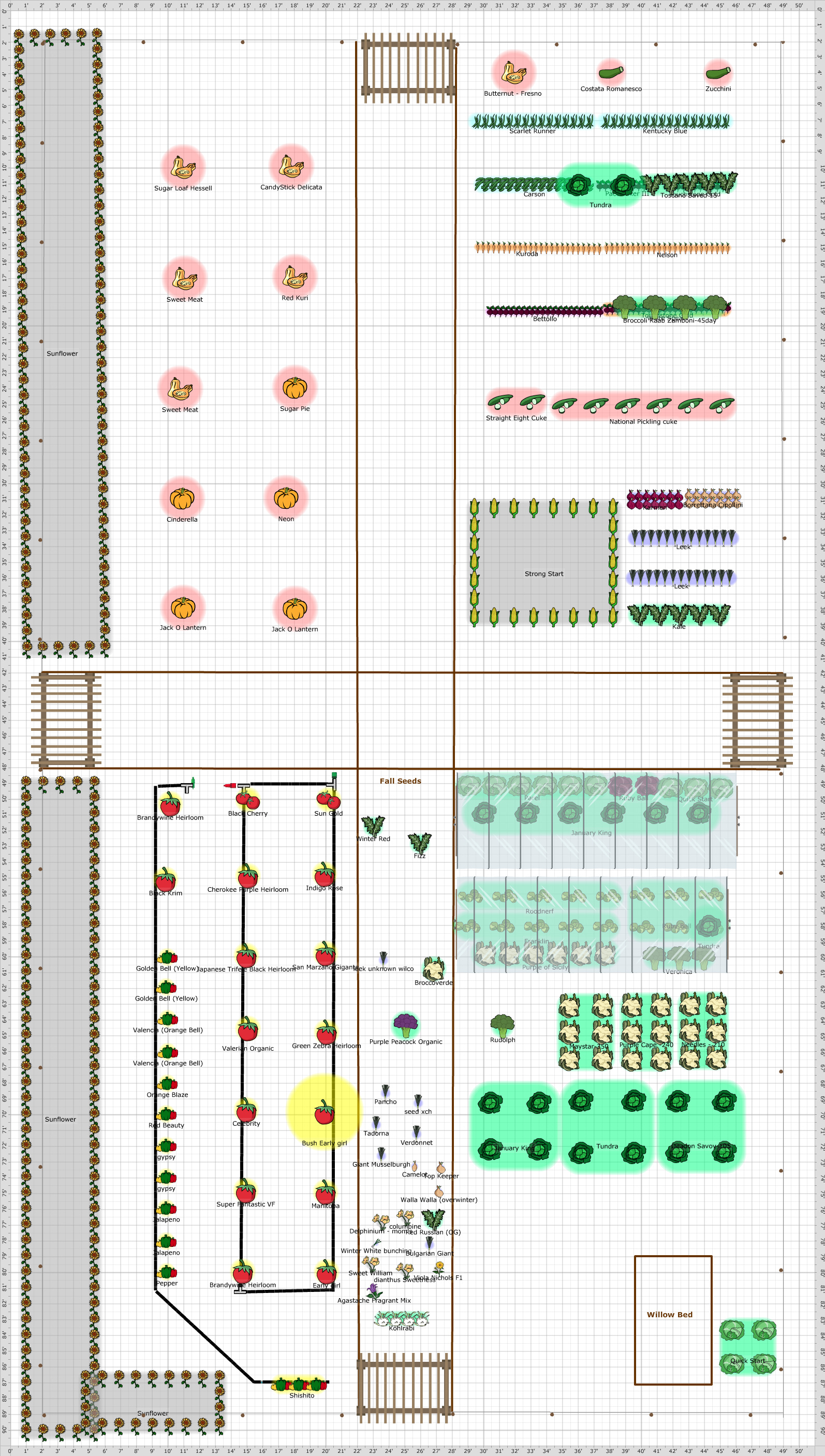 Garden Plan - New permanent layout