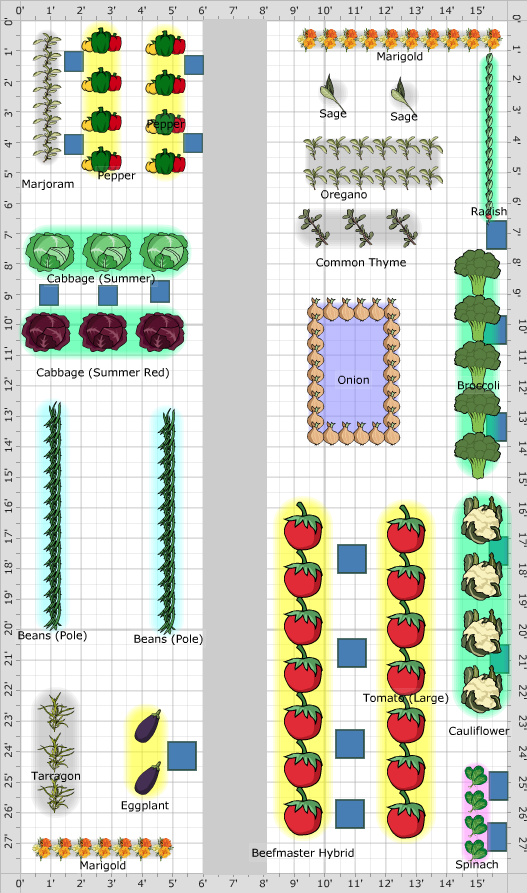 Garden Plan - 2017: Garden